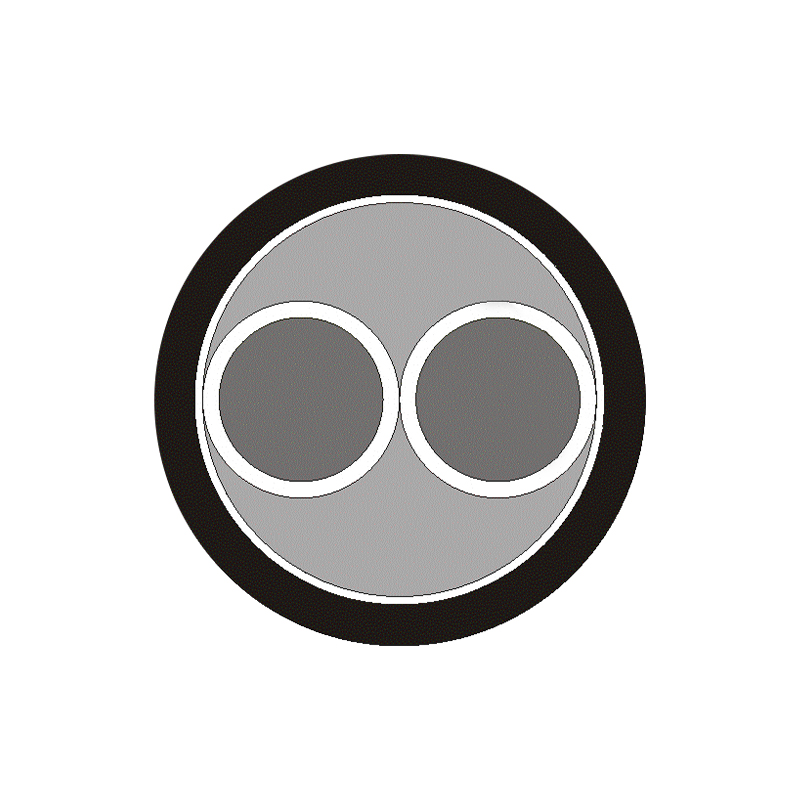 Kabel Tertebat XLPE/PVC (wayar) Voltan Ternilai Sehingga dan Termasuk 450/750V