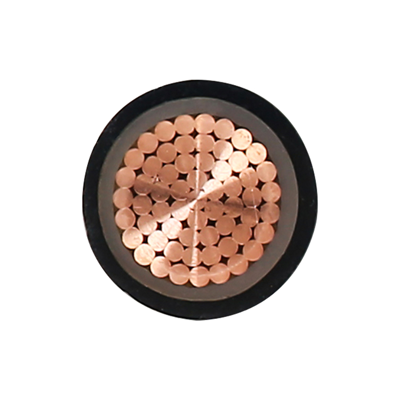 Kabel Pengecas EV Untuk Voltan Ternilai 450/750V