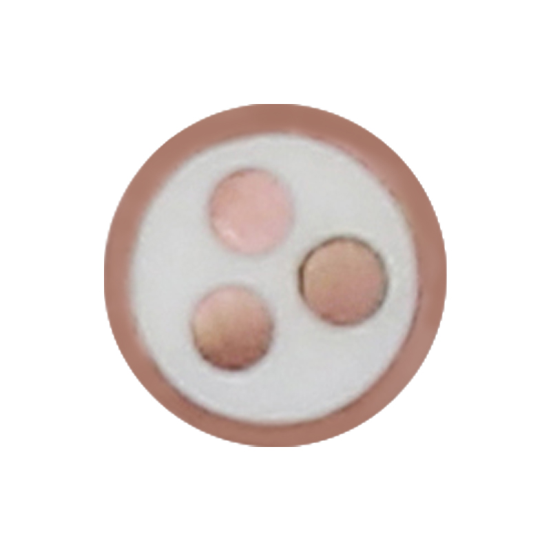 Kabel Pengecas EV Untuk Voltan Ternilai 450/750V