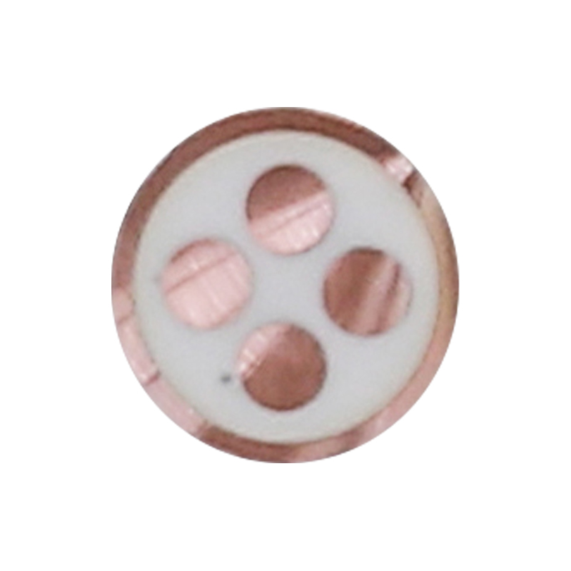 Kabel Pengecas EV Untuk Voltan Ternilai 450/750V