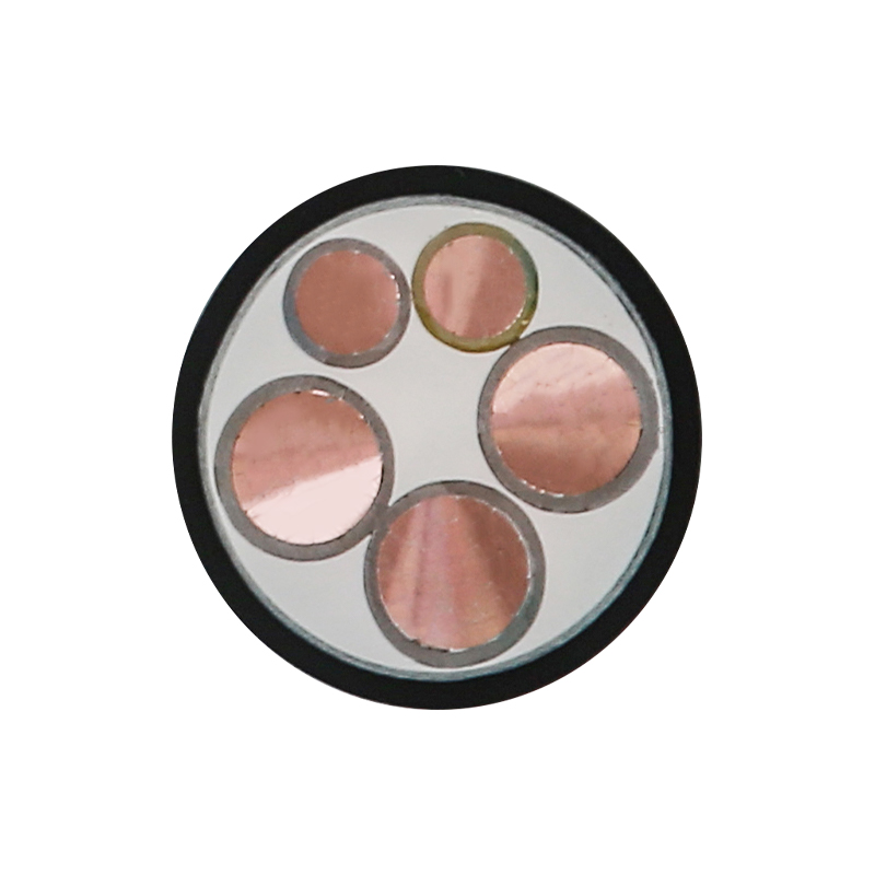 Kabel Pengecas EV Untuk Voltan Ternilai 450/750V