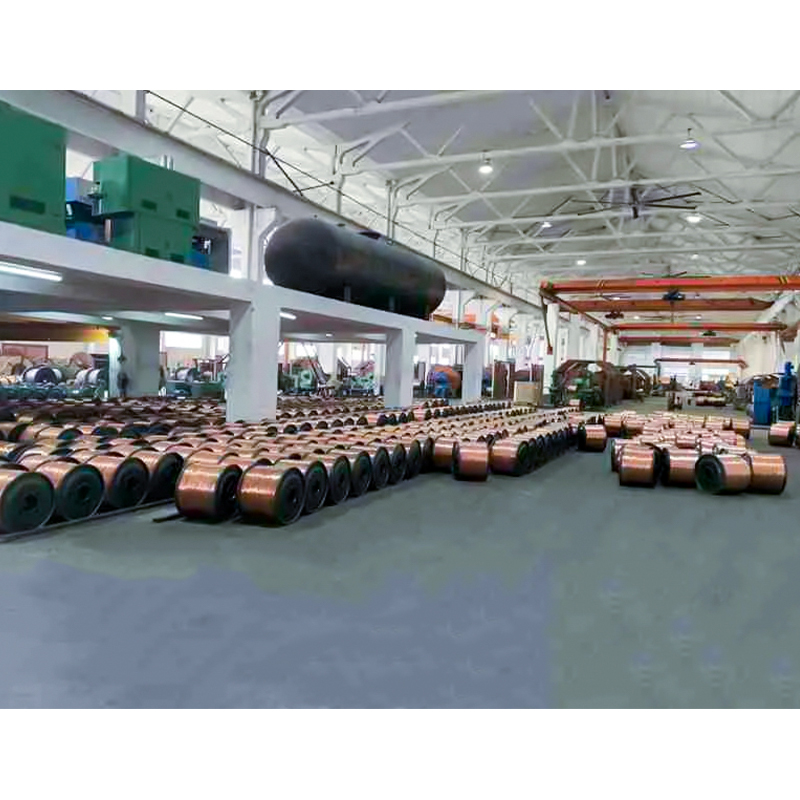 Kabel Tertebat XLPE/PVC (wayar) Voltan Ternilai Sehingga dan Termasuk 450/750V